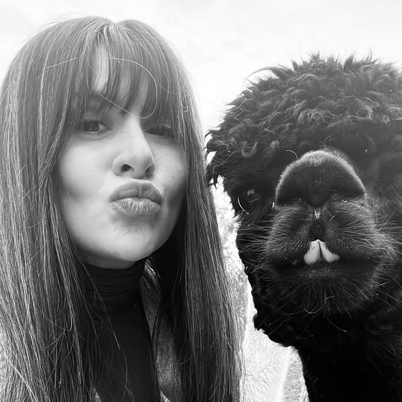 Meet your Posher, Bayla - Picture 1 of 1